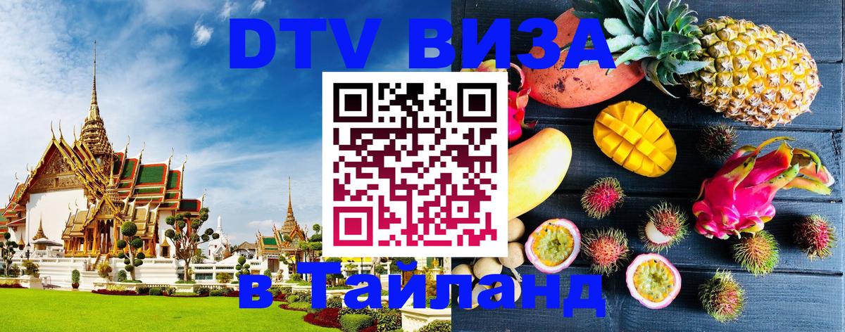 Оформление DTV визы под ключ: стоимость и тарифы, только загранпаспорт - 18.11.2025 